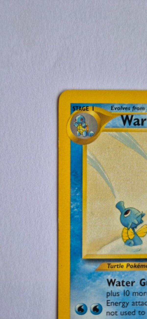 Wartortle Frente 4