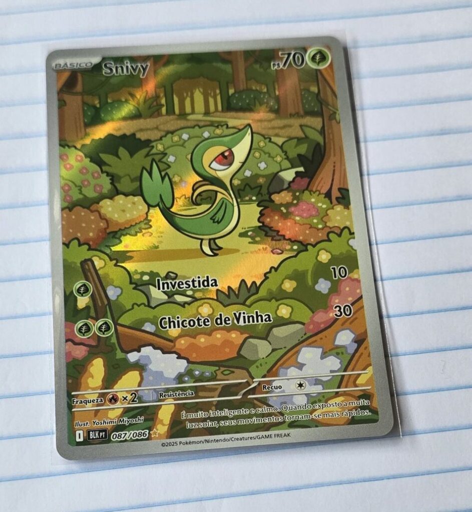 cropped 20251201 111159 scaled 1 jpg