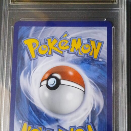 WhatsApp Image 2025 11 06 at 09 55 33