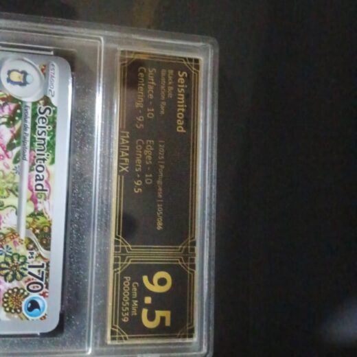 WhatsApp Image 2025 11 06 at 09 55 50