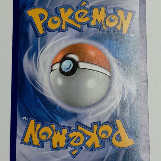 cropped IMG 20251116 235622 scaled 1 jpg