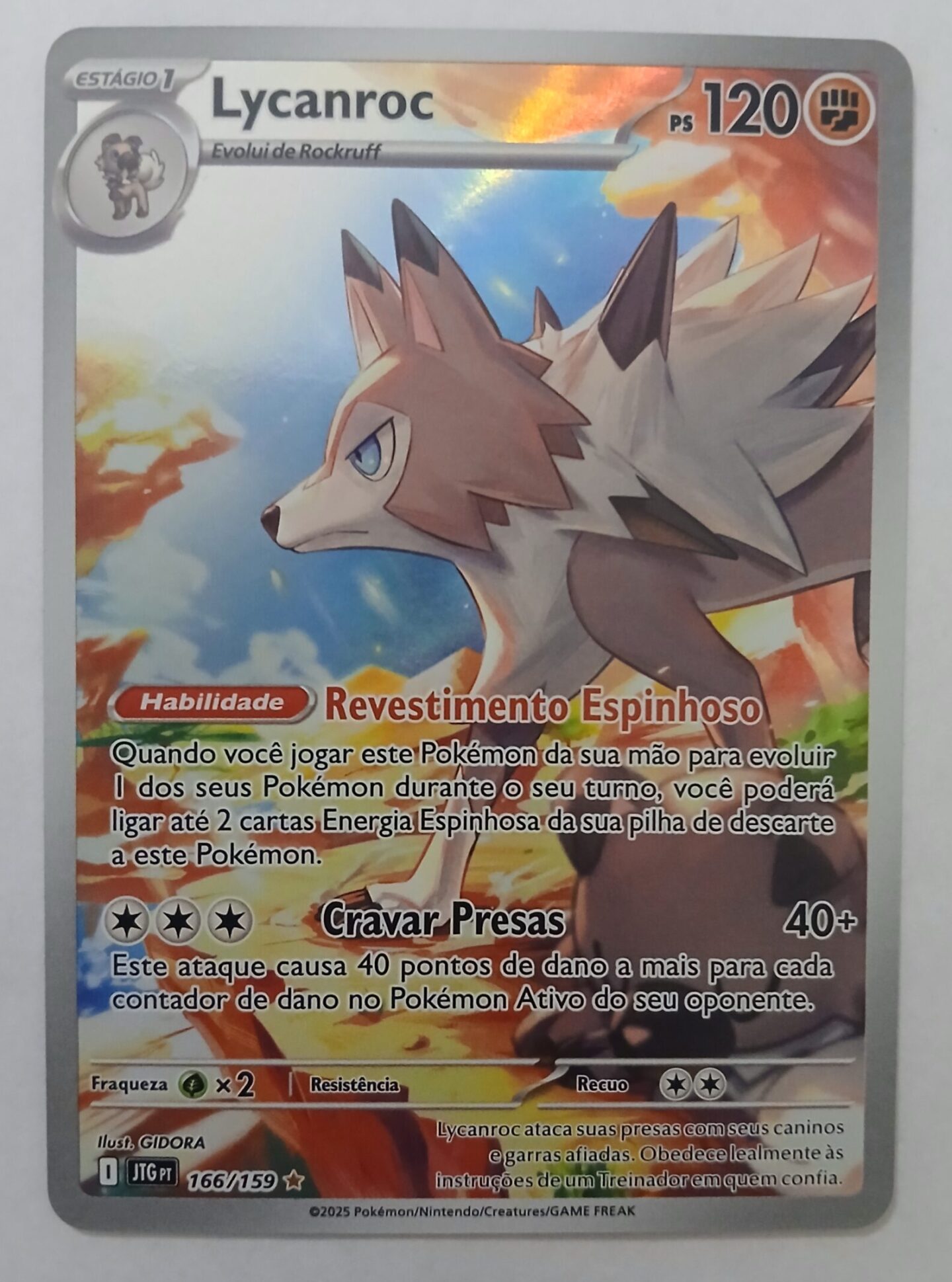 cropped 20251201 122714 scaled 1 jpg