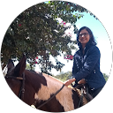 Amanda Torquetti profile picture