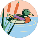 antonio tiede profile picture