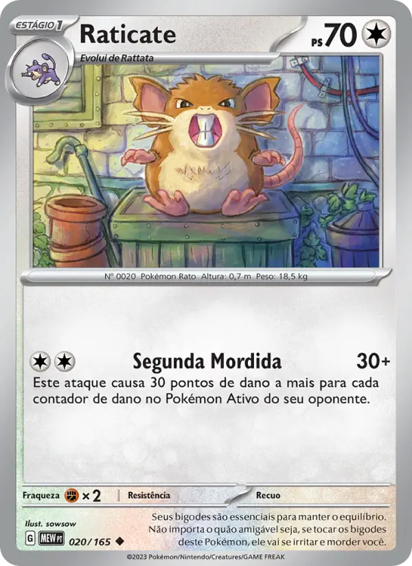 Raticate 020/165
