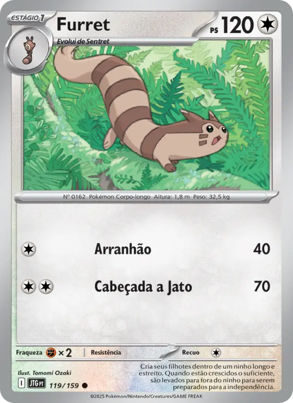 Furret 119/159
