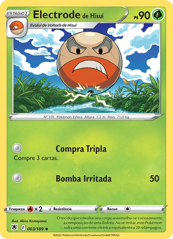 Electrode de Hisui
