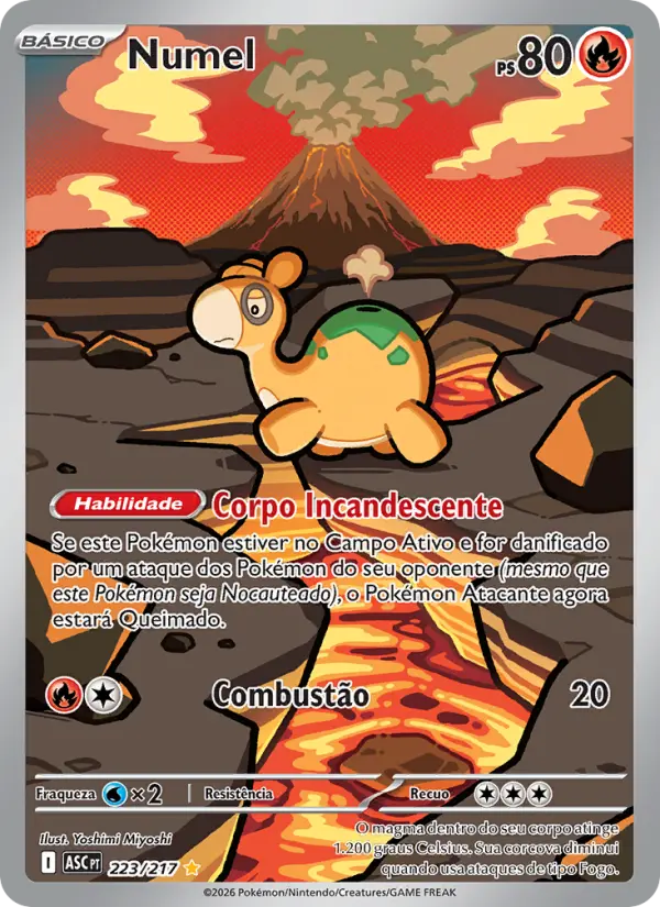 Numel 223/217